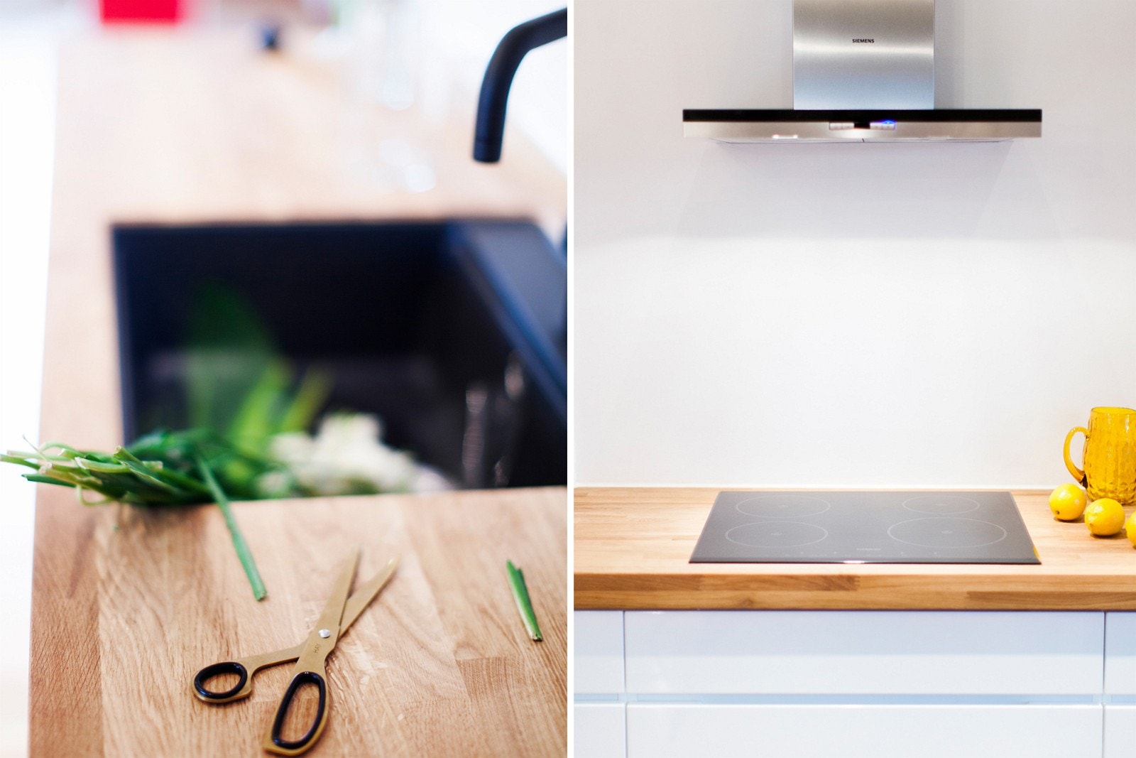 Lyset fra taket. Urtene på benken. Galleribilde