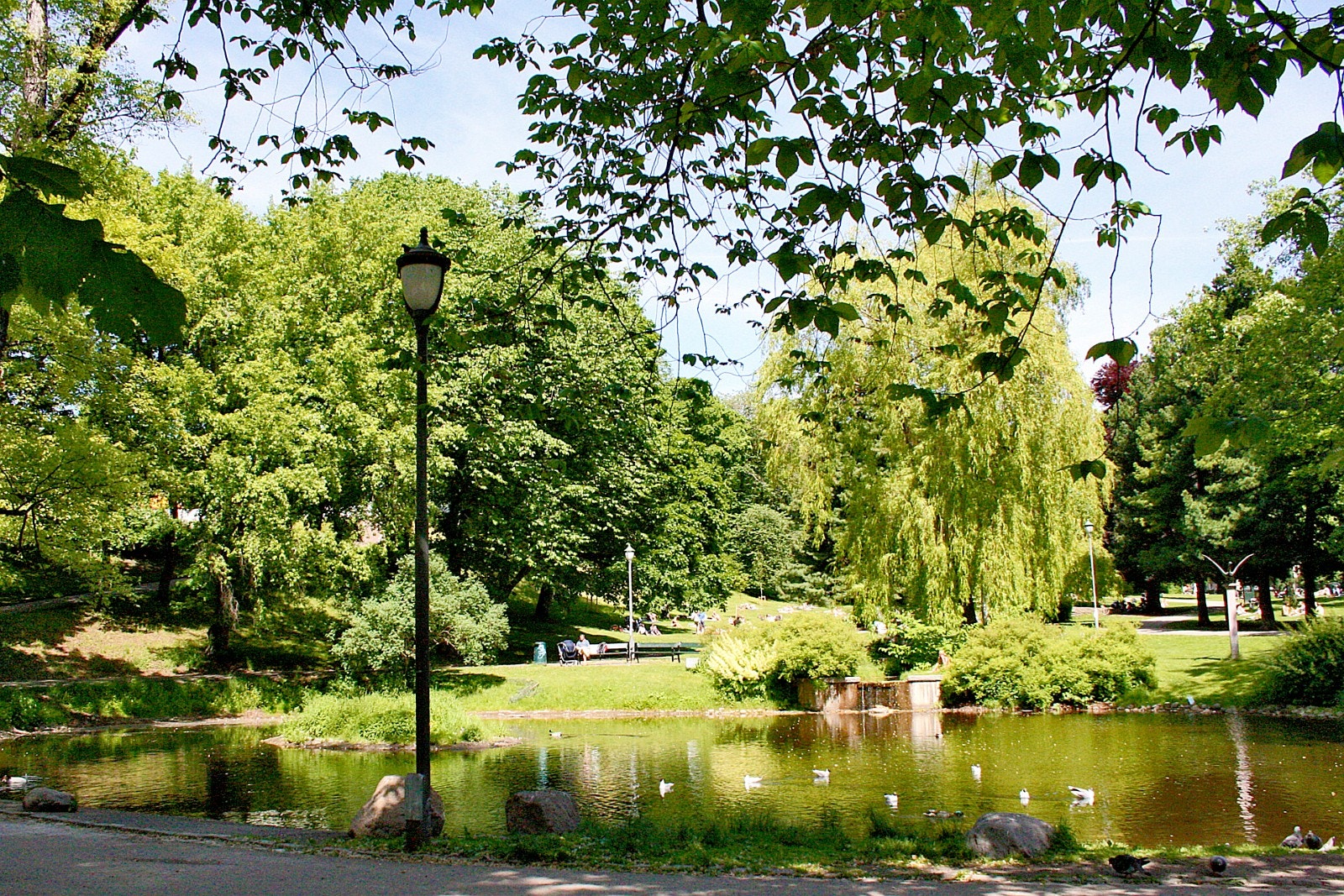 Bo rett ved foten av St Hanshaugen parken. Galleribilde