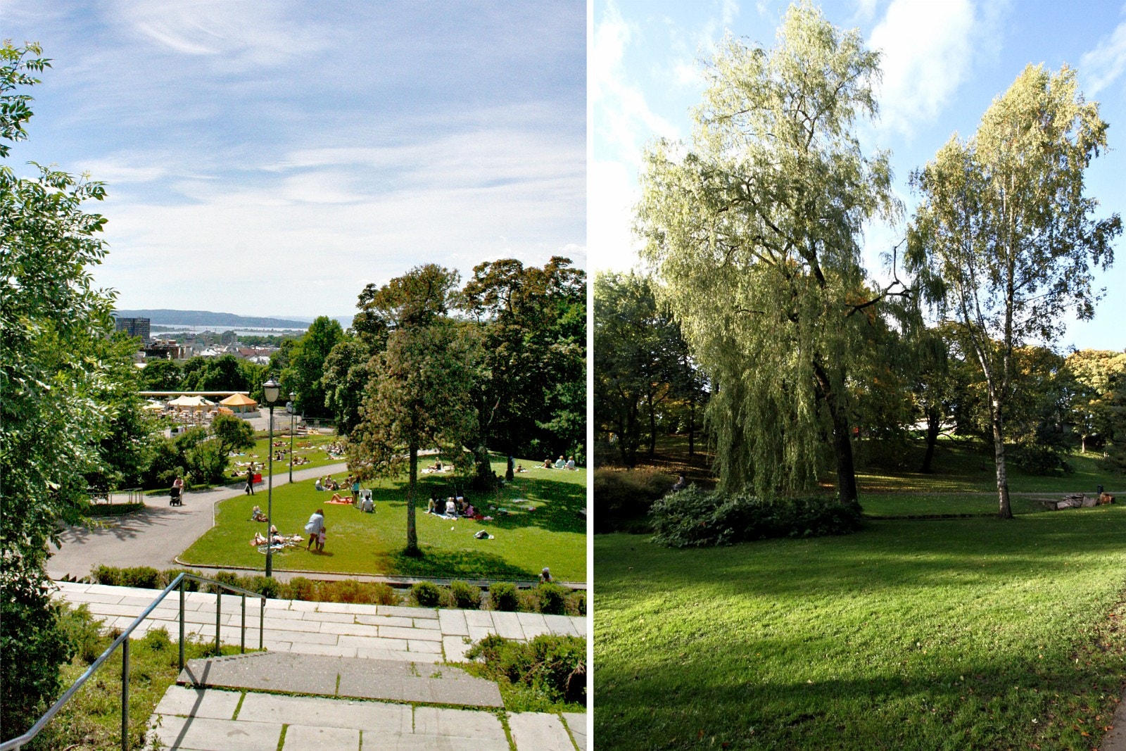 Parken som trekker folket ned fra sine takterrasser og ut i vakre omgivelser. Galleribilde
