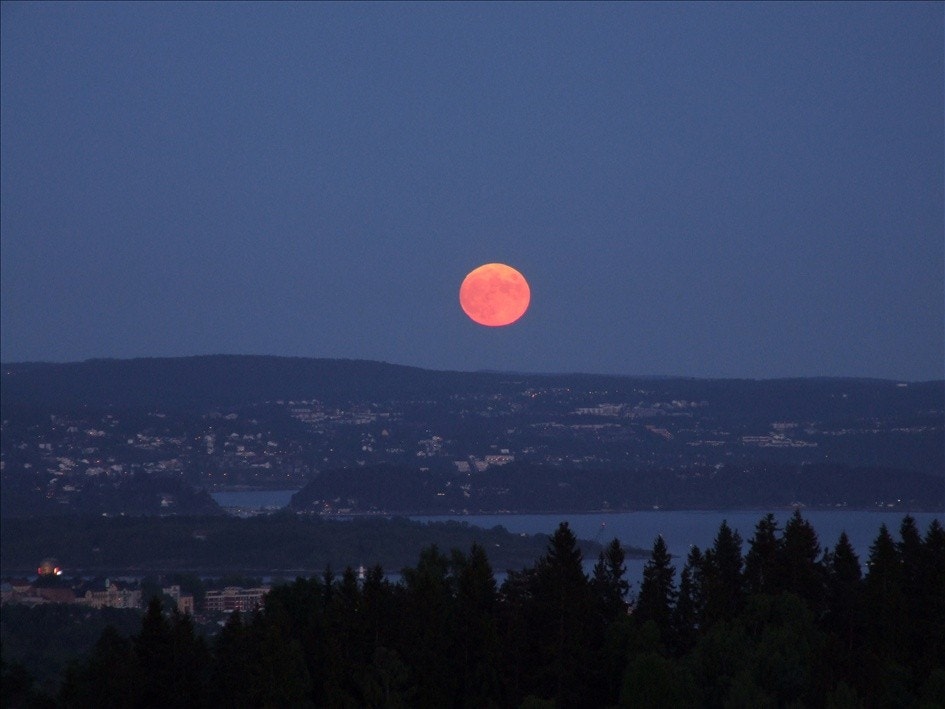 fullmåne Galleribilde