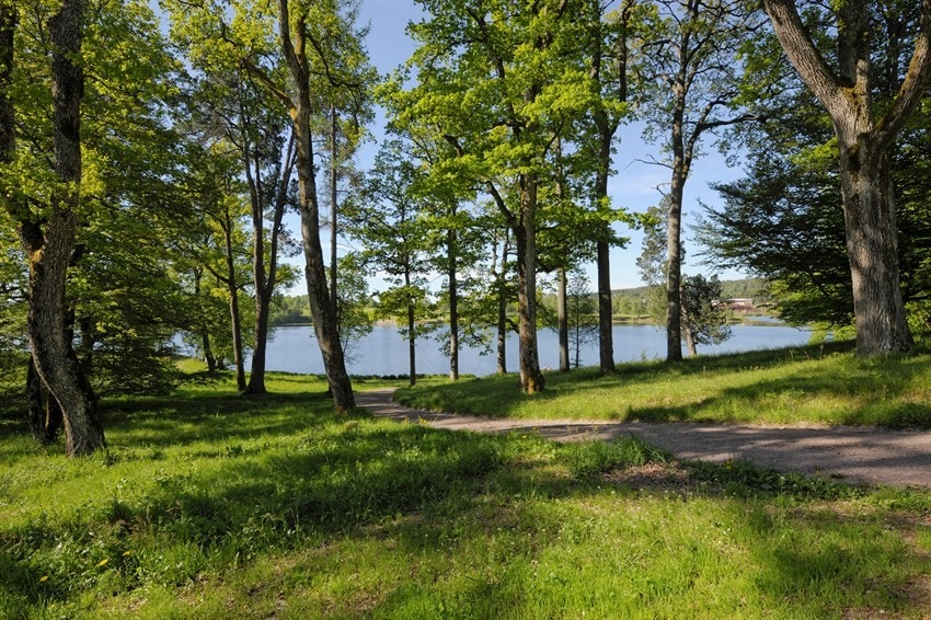 Bogstadvannet - sommer. Galleribilde