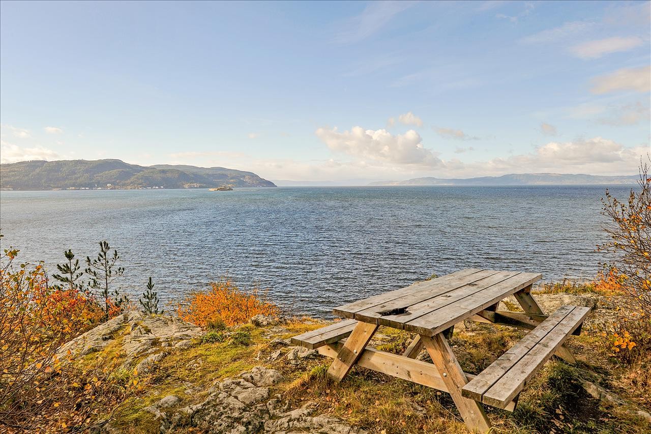 Nærområde. Galleribilde