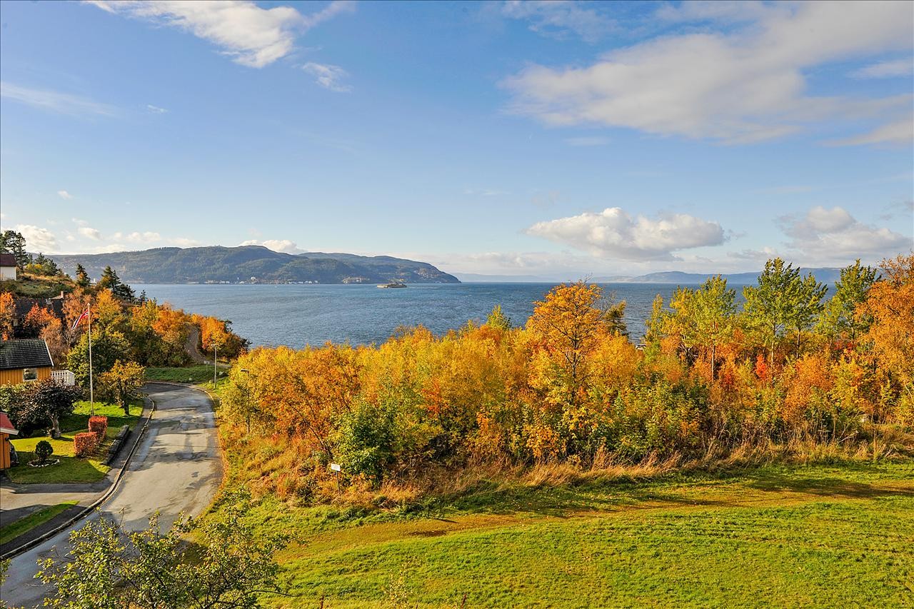 utsikt. Galleribilde