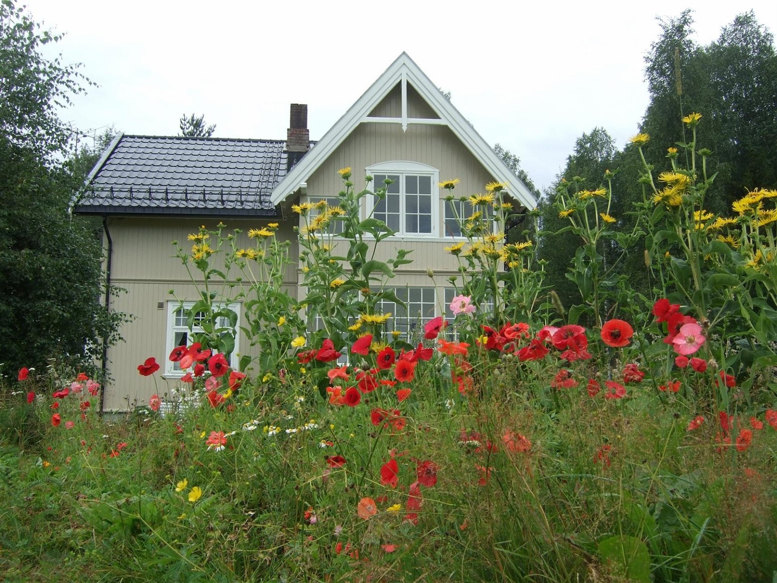 En flott blomstrende hage sommerstid Galleribilde