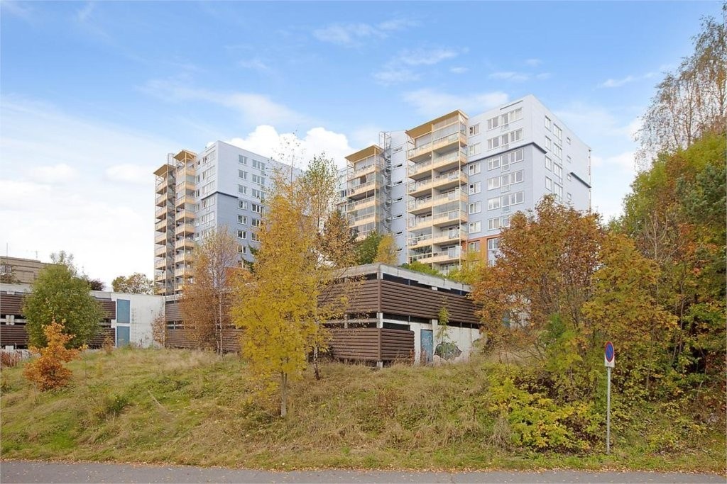 Hovedbilde Galleribilde