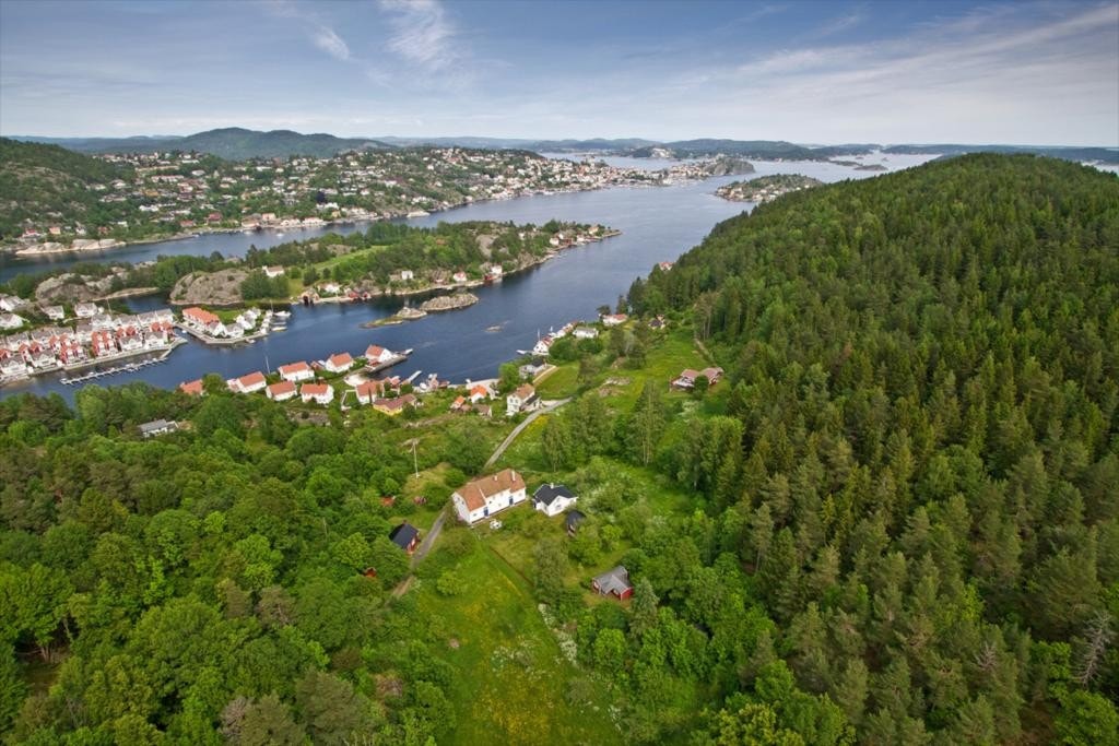 Bilde31 Galleribilde