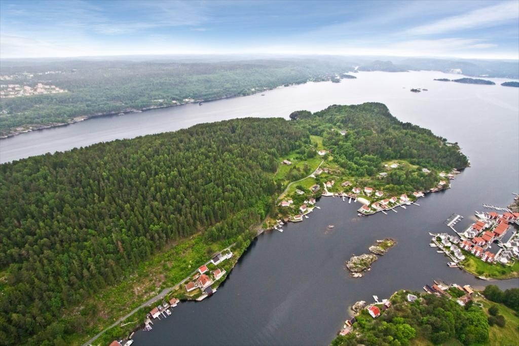 Bilde37 Galleribilde