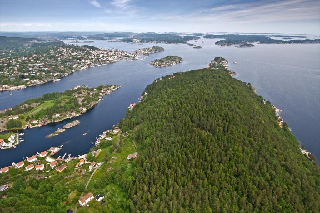 Bilde32 Galleribilde