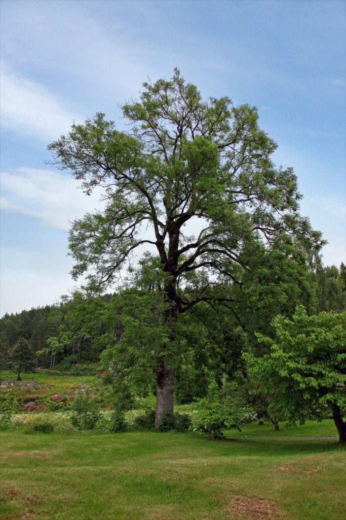 Bilde26 Galleribilde