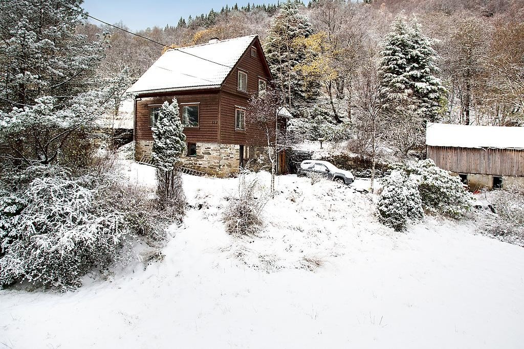 Områdebilde Galleribilde