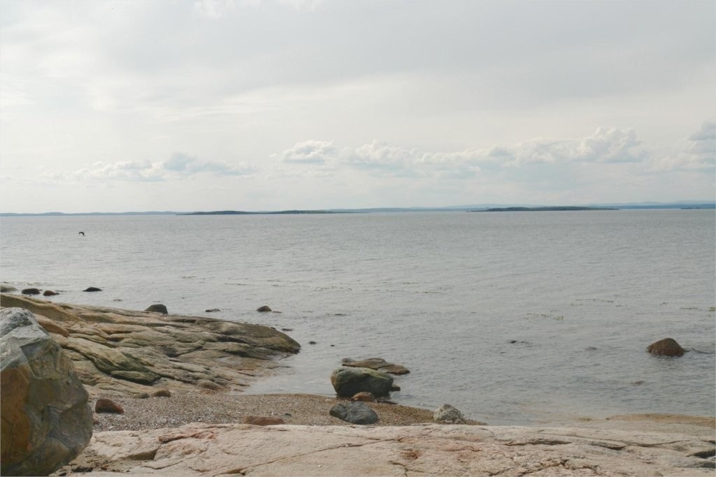 Fra Ellingstranda Galleribilde