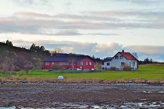 Bilde08 Galleribilde