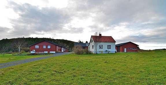 Bilde23 Galleribilde