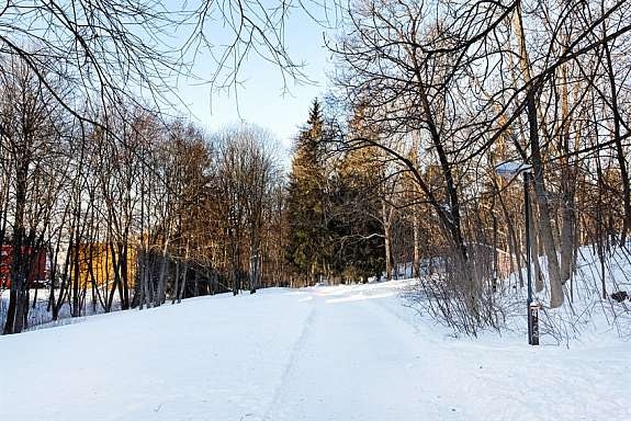 Flotte turstier og Østmarka i umiddelbar nærhet Galleribilde