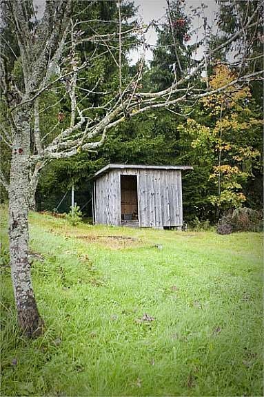 Bilde11 Galleribilde