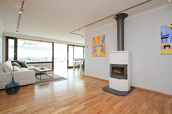 Stue med peis Galleribilde