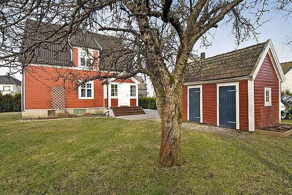 Flat tomt på 656 kvm. Beplantet med trær og hekk mot nabo. Galleribilde