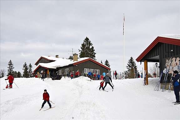 Lilloseter Galleribilde