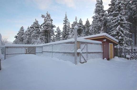 Vollen 041 Galleribilde