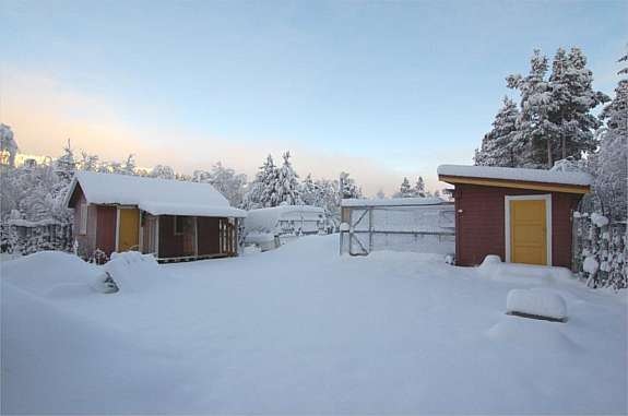 Vollen 038 Galleribilde