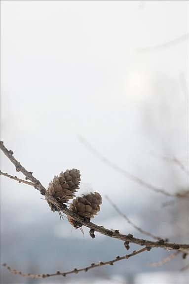 Stemningsbilde Galleribilde