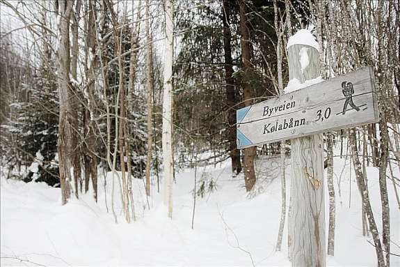 Turveier på Strømsåsen Galleribilde