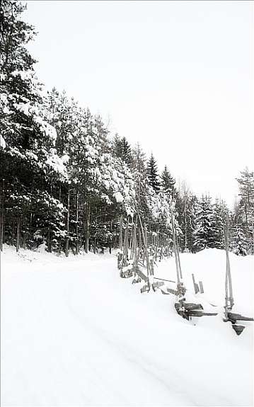 Naturen i nærområdet Galleribilde
