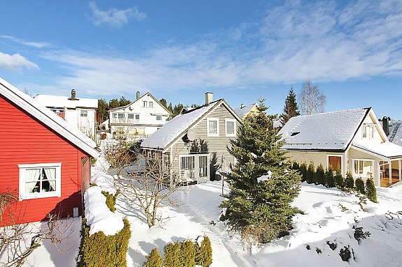 Mastfoto Galleribilde