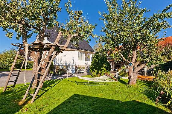 Opparbeidet uteareal - frukttrær. Galleribilde