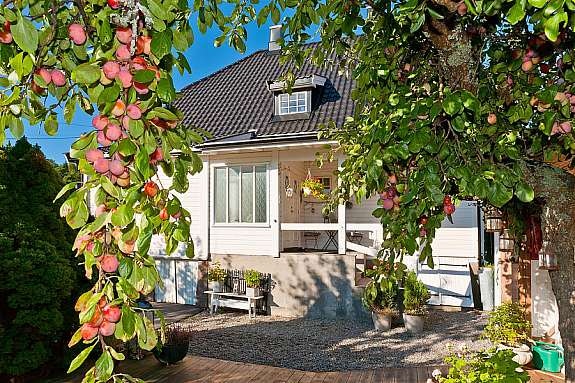 Inngangsparti. Galleribilde