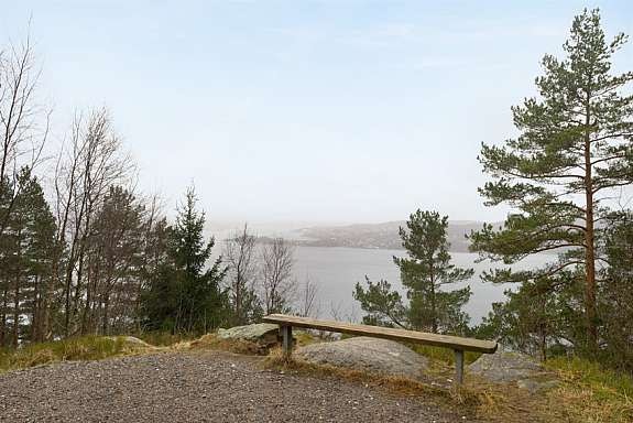 dsc_2713 Galleribilde