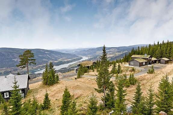 Bilde35 Galleribilde