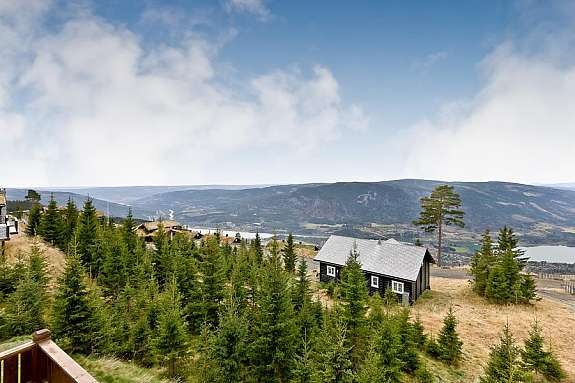 Bilde36 Galleribilde