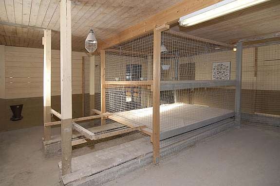 Hønsehus/fjøs Galleribilde