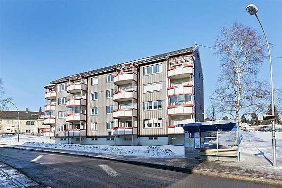 Gode solforhold. Galleribilde