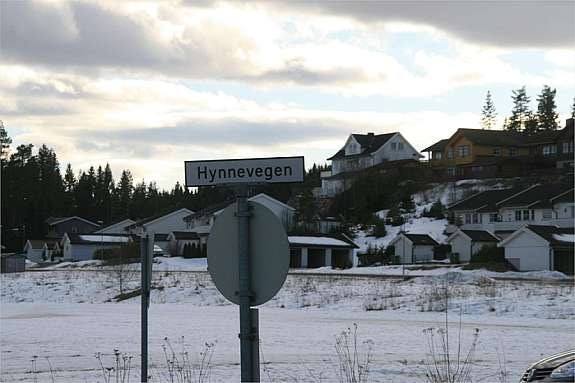 Fint og barnevennlig område på Råholt Galleribilde