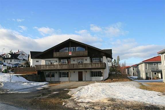 Stor endetomt Galleribilde