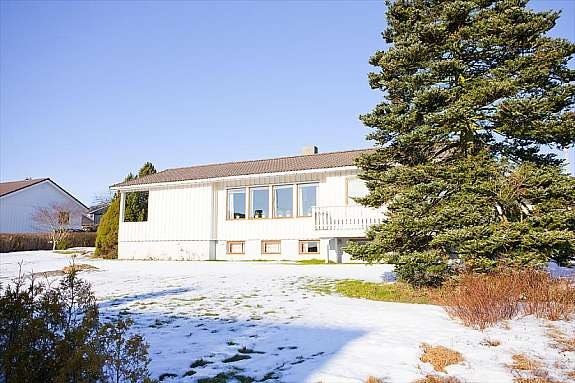 Bilde nr. 5 Galleribilde