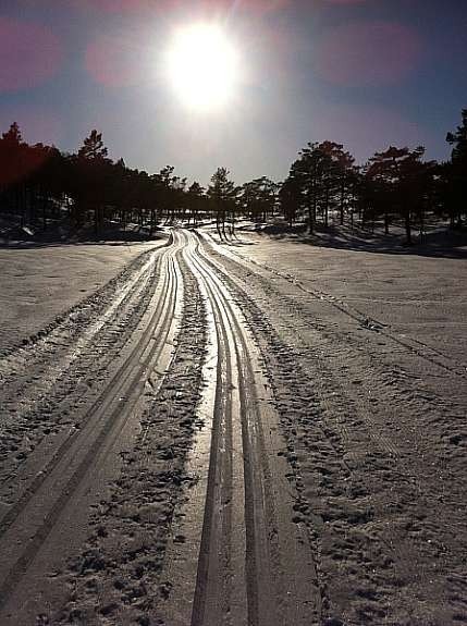 Løypa over til Iveland Galleribilde