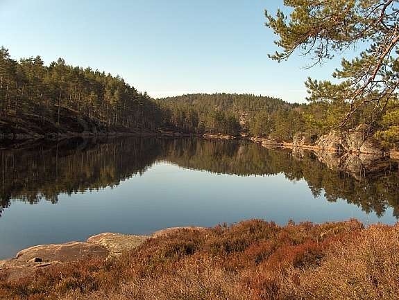 Fra tomt og ut mot ogge 2 Galleribilde