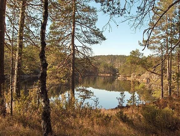 Fra tomt og ut mot Ogge Galleribilde