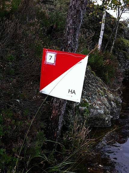 Padle orientering i Ogge Galleribilde