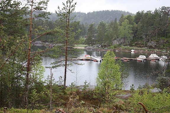Fra tomter og ut mot ogge og bryggeanlegg Galleribilde