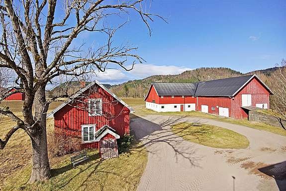 Store driftsbygninger, bl.a. nyere tilbygg til låve på 206 m2 tilrettelagt for drift med gris. Galleribilde