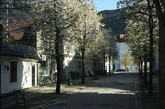 Baglergaten 2 C Galleribilde