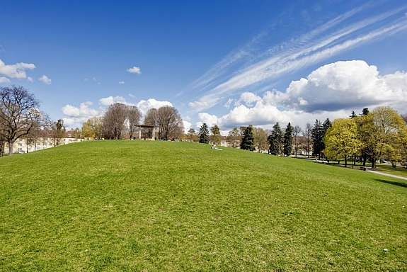 251115223 Galleribilde