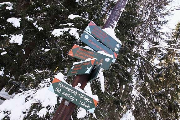 Nærhet til Østmarka Galleribilde