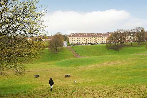 torshovdalen Galleribilde