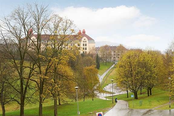 torshovdalen2 Galleribilde