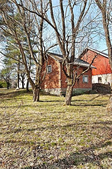 Stor opparbeidet hage med gressplen og diverse busker og trær. Galleribilde